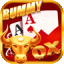 94fbr teen patti icon